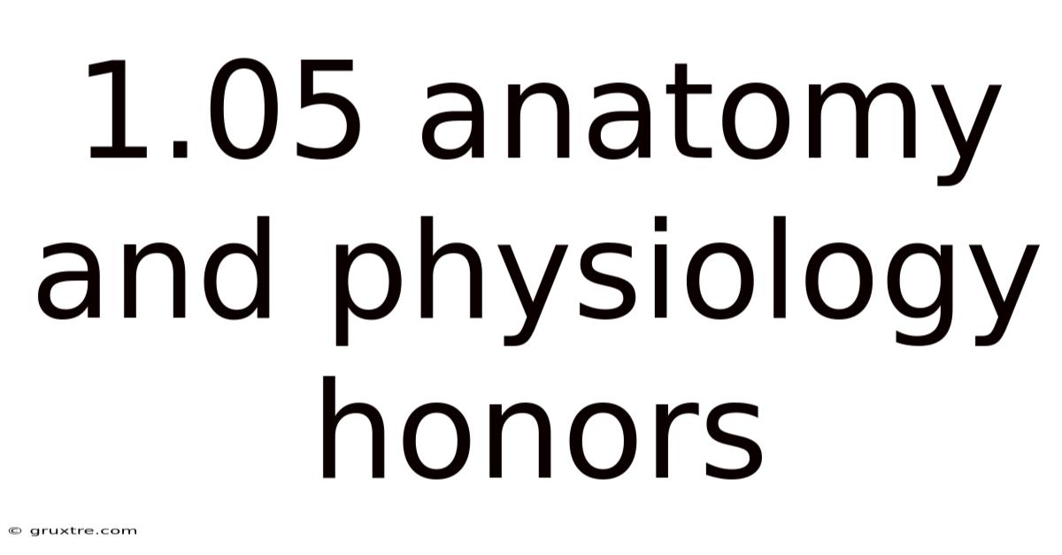 1.05 Anatomy And Physiology Honors
