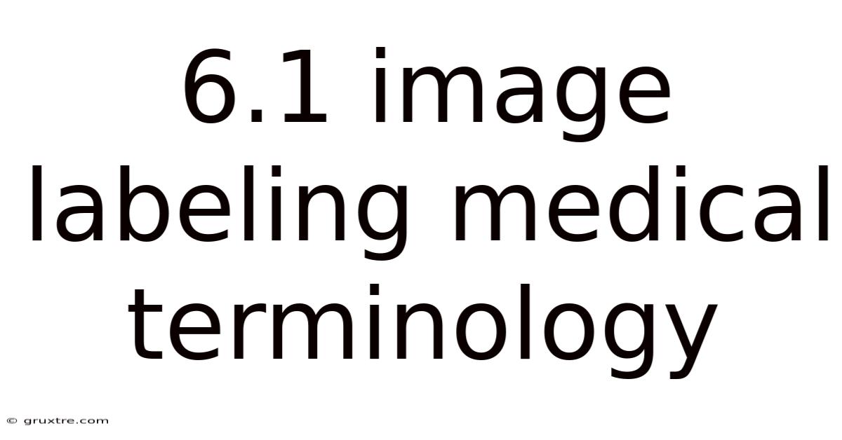 6.1 Image Labeling Medical Terminology
