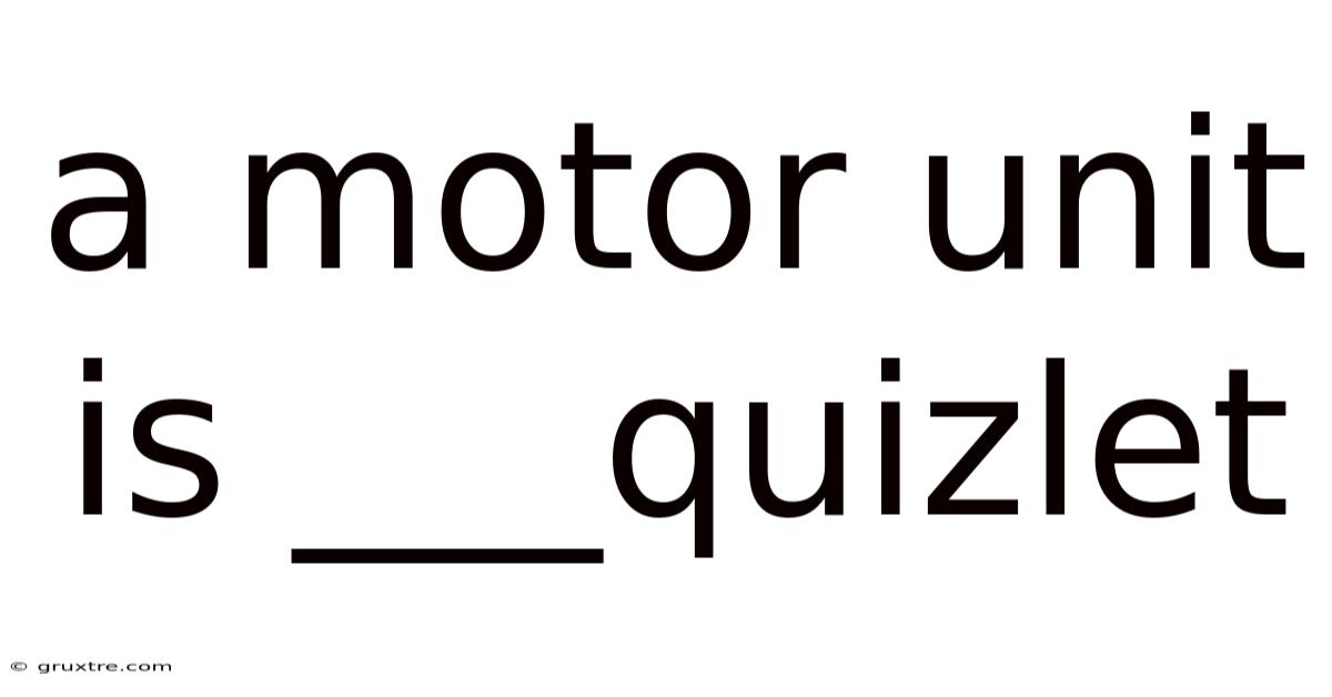 A Motor Unit Is ___quizlet