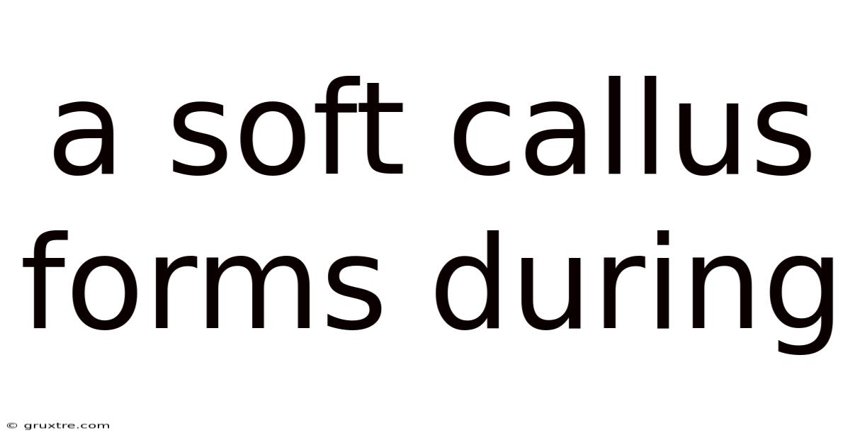 A Soft Callus Forms During