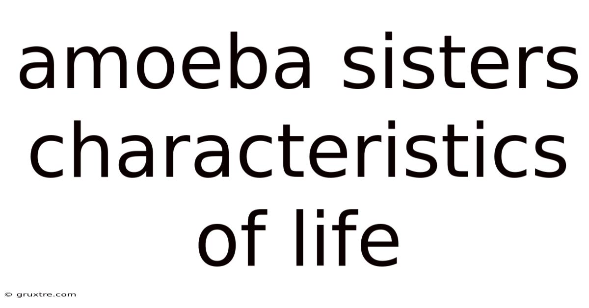 Amoeba Sisters Characteristics Of Life