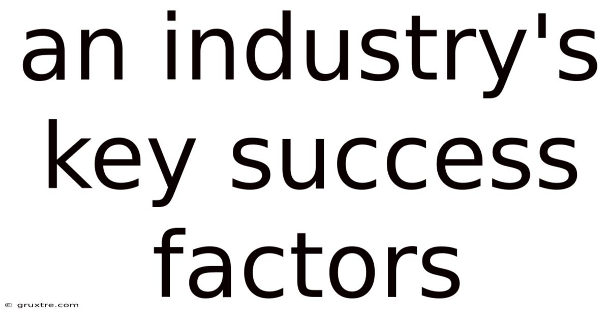 An Industry's Key Success Factors