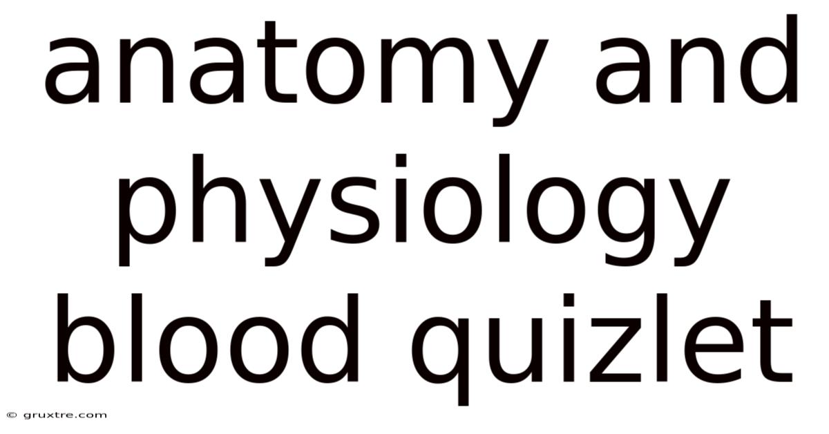 Anatomy And Physiology Blood Quizlet