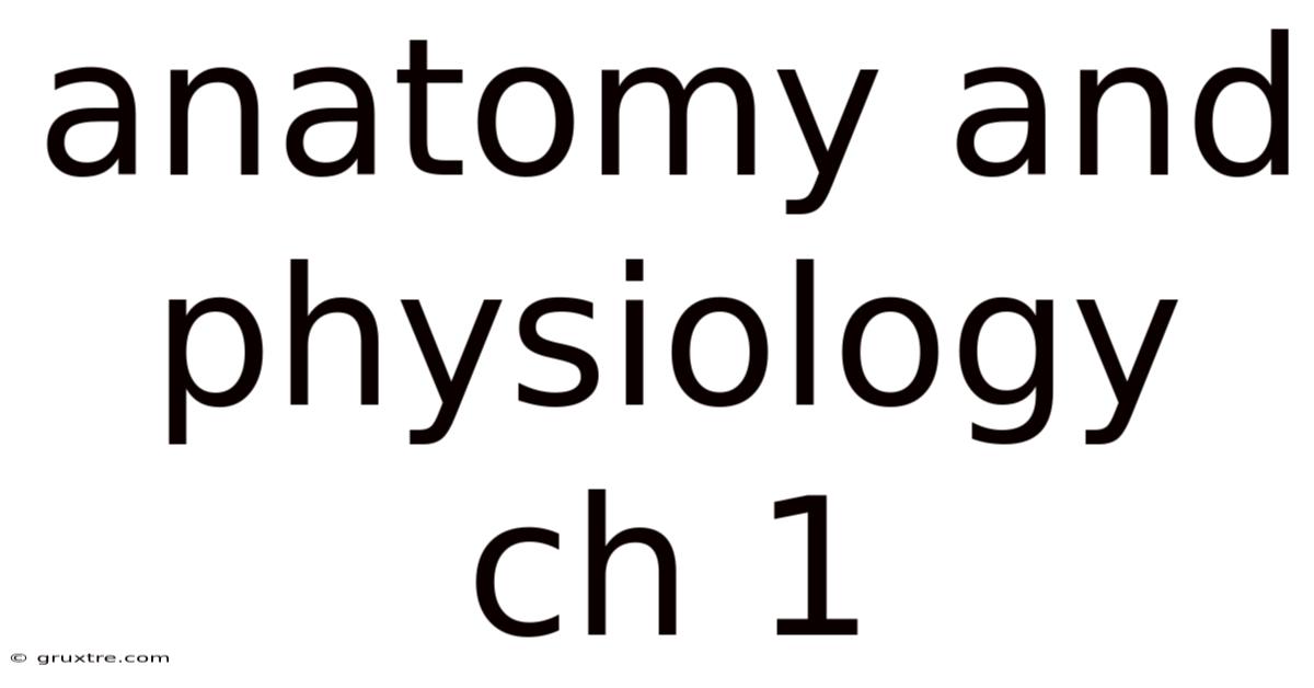Anatomy And Physiology Ch 1