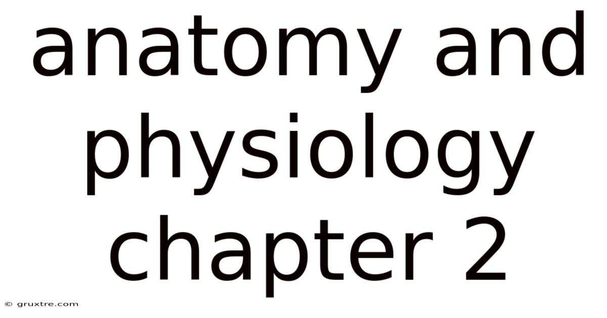 Anatomy And Physiology Chapter 2