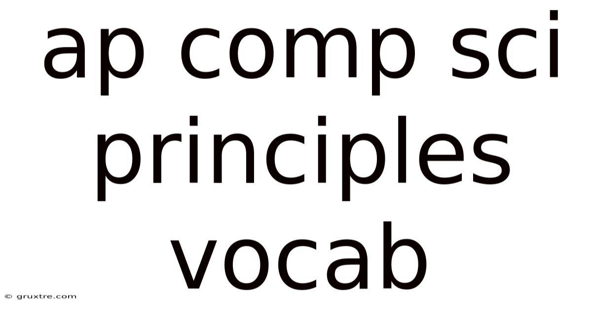 Ap Comp Sci Principles Vocab