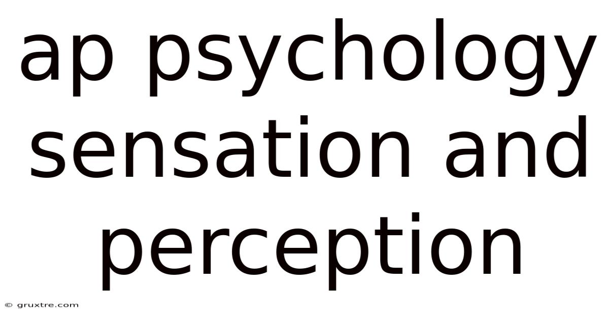 Ap Psychology Sensation And Perception