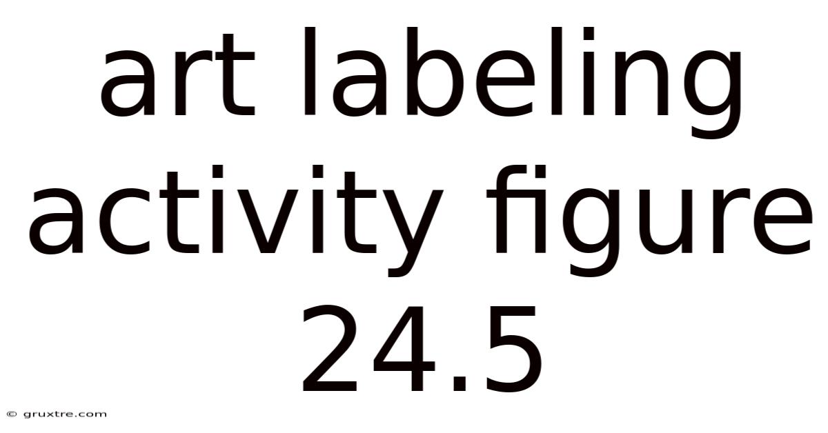 Art Labeling Activity Figure 24.5