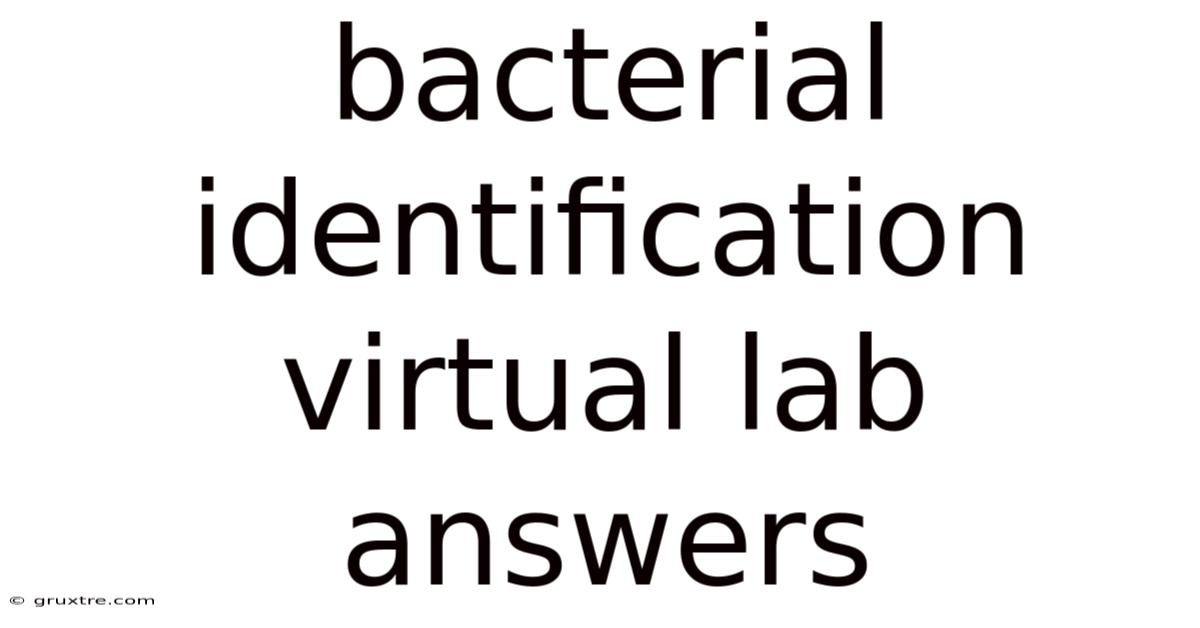 Bacterial Identification Virtual Lab Answers