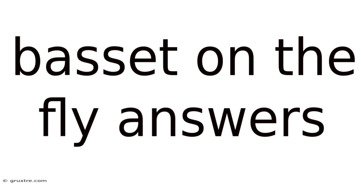 Basset On The Fly Answers