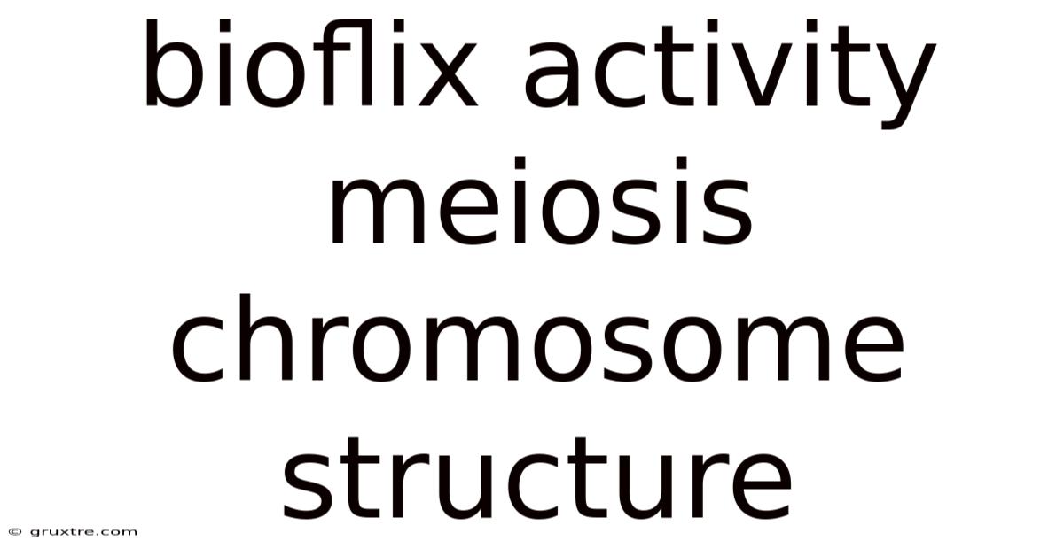 Bioflix Activity Meiosis Chromosome Structure