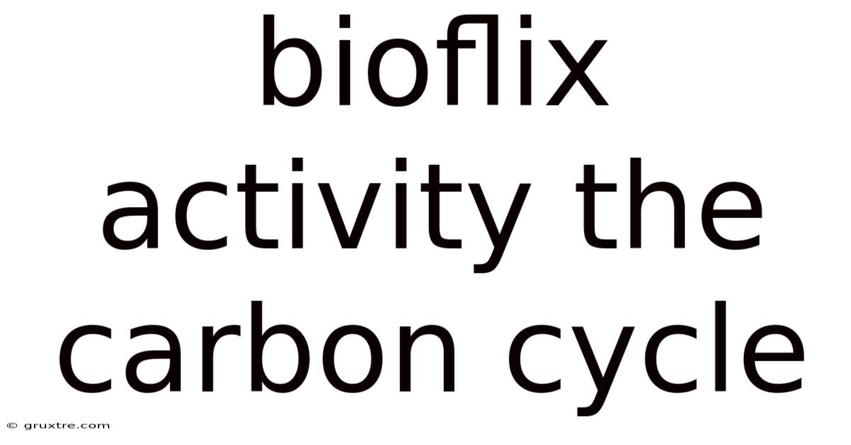 Bioflix Activity The Carbon Cycle