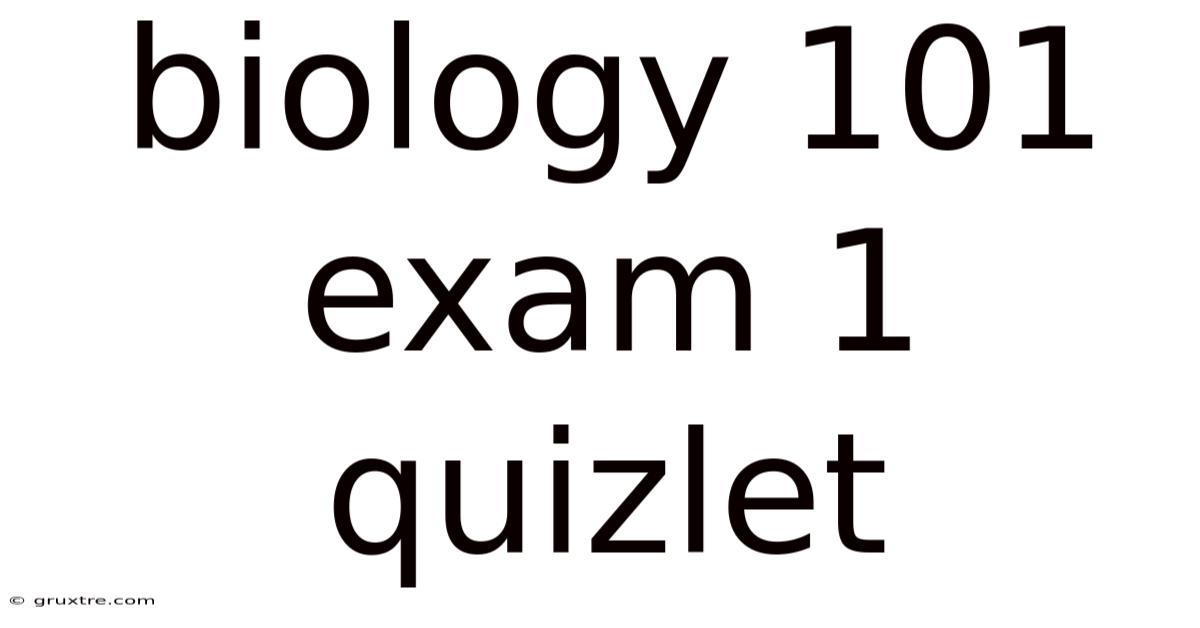 Biology 101 Exam 1 Quizlet