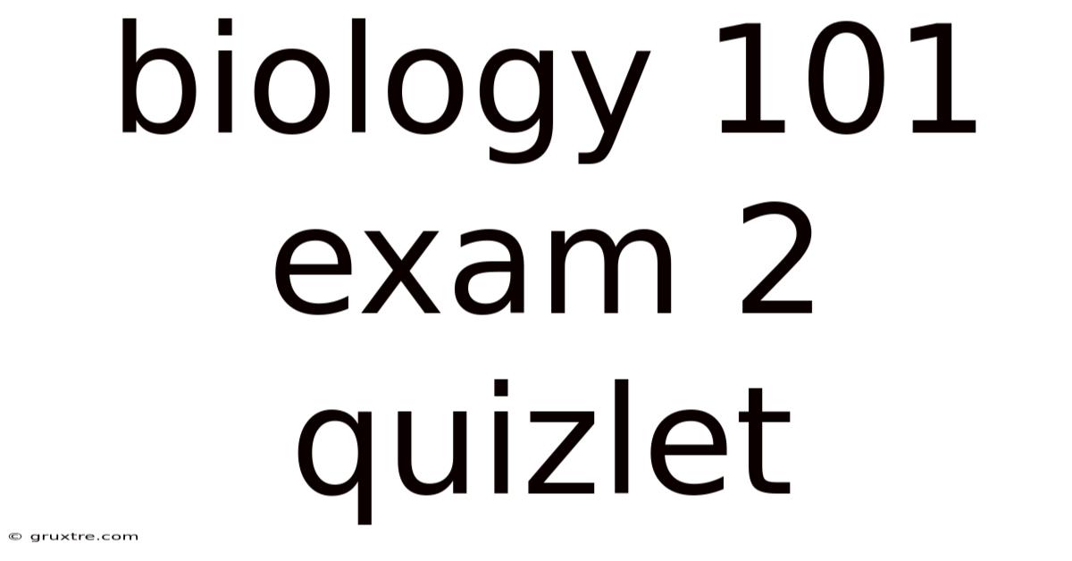 Biology 101 Exam 2 Quizlet