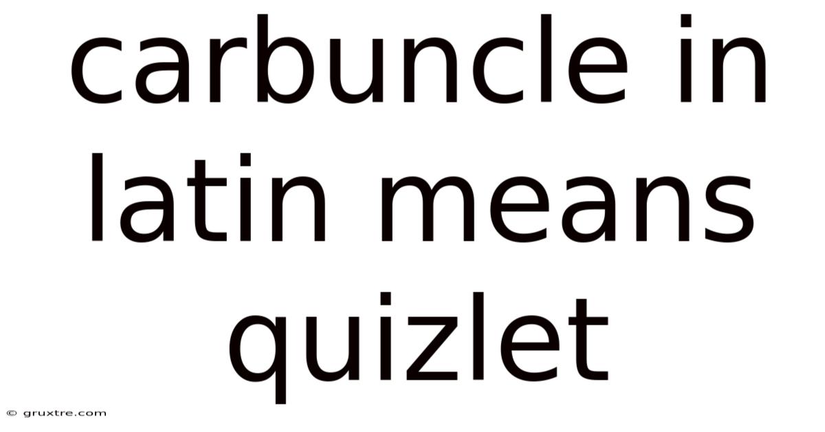 Carbuncle In Latin Means Quizlet