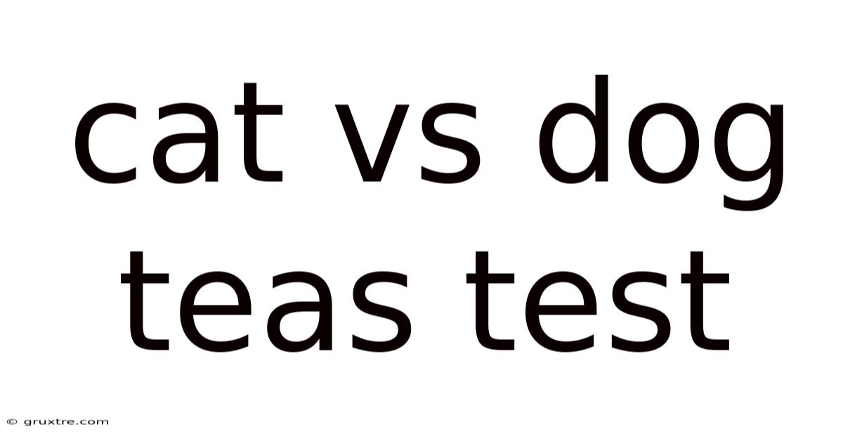 Cat Vs Dog Teas Test