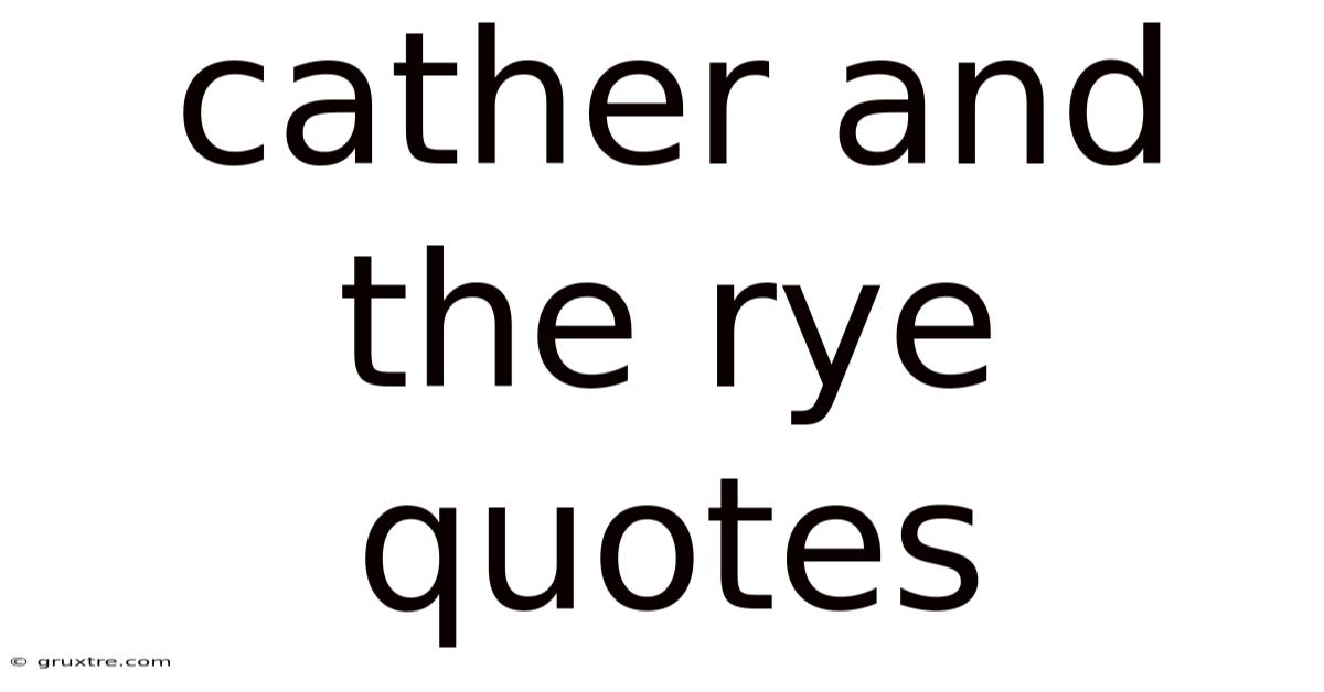 Cather And The Rye Quotes
