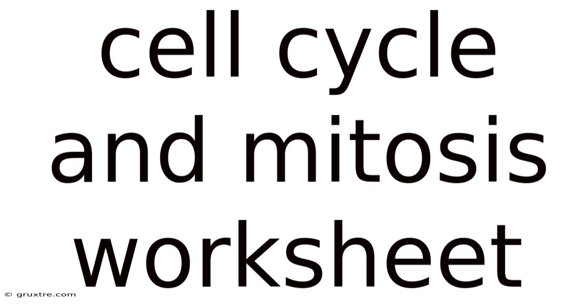 Cell Cycle And Mitosis Worksheet