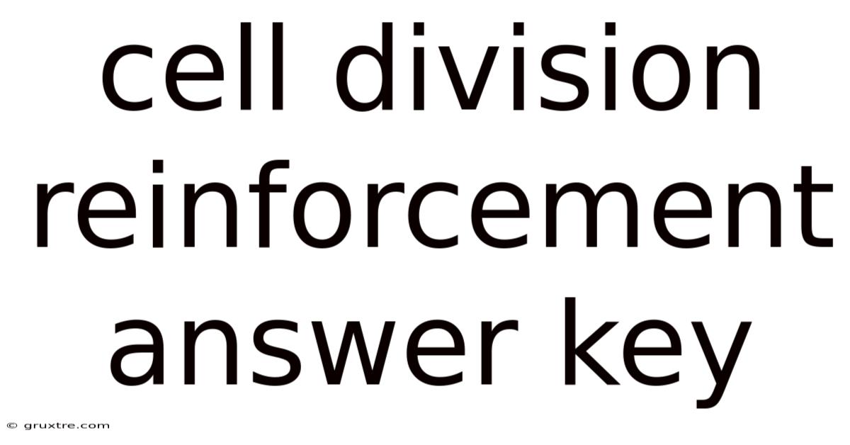 Cell Division Reinforcement Answer Key