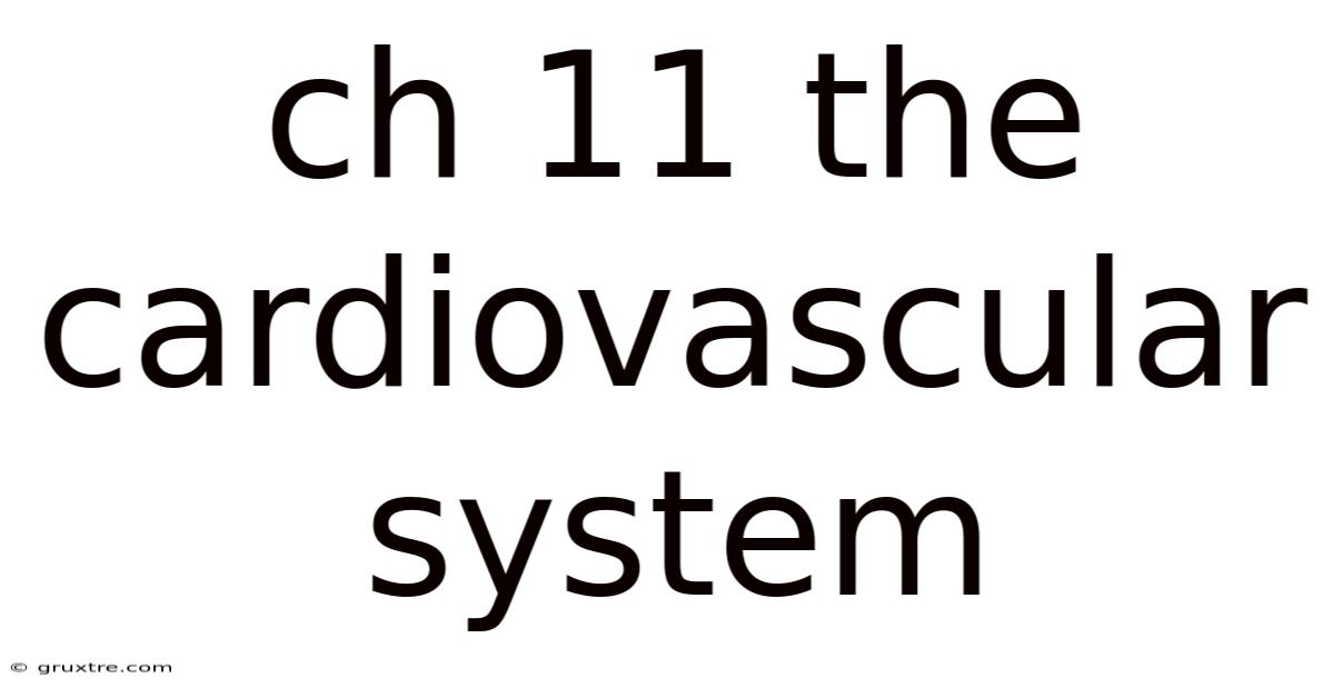 Ch 11 The Cardiovascular System
