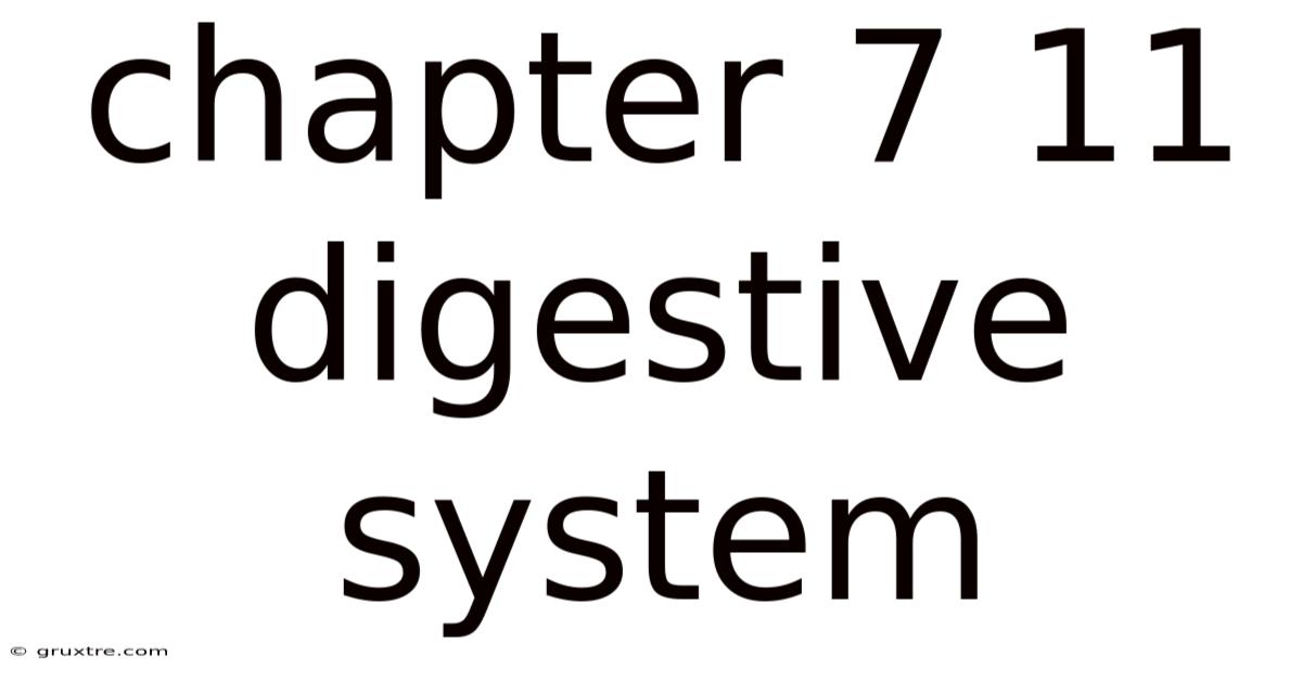Chapter 7 11 Digestive System