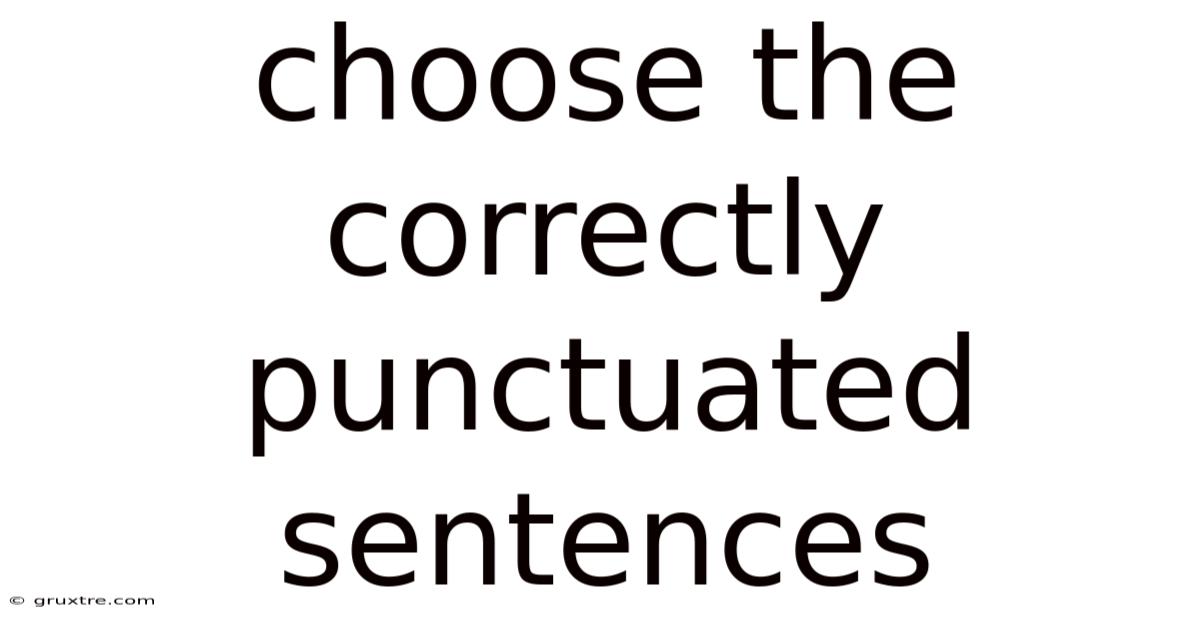 Choose The Correctly Punctuated Sentences