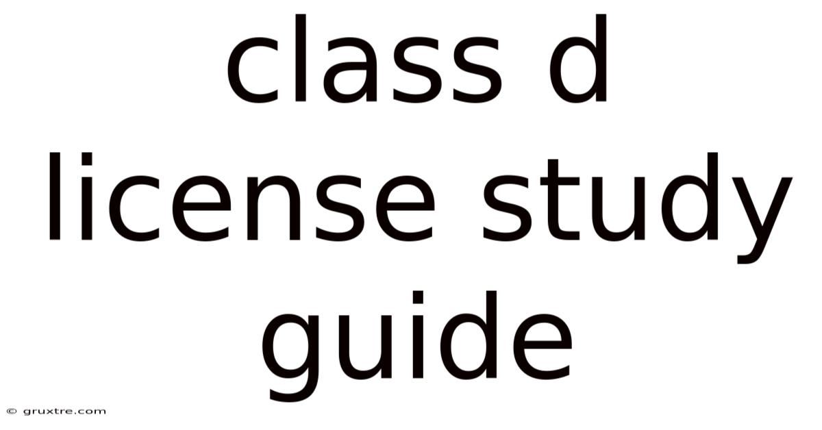 Class D License Study Guide