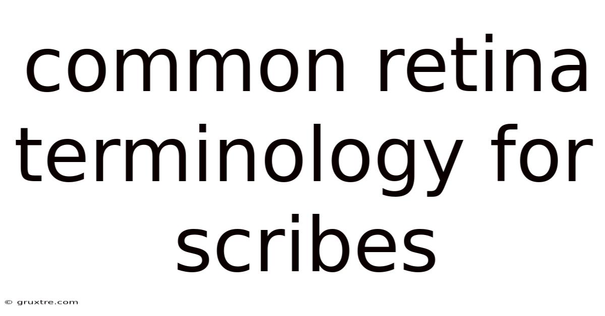 Common Retina Terminology For Scribes