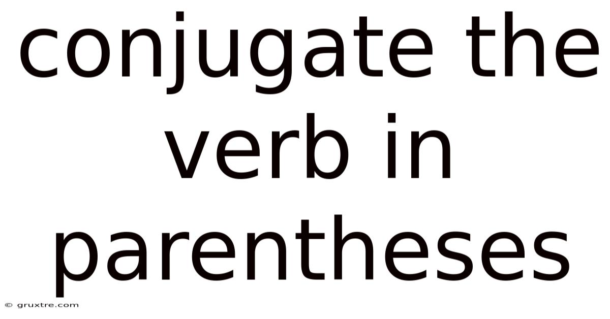 Conjugate The Verb In Parentheses