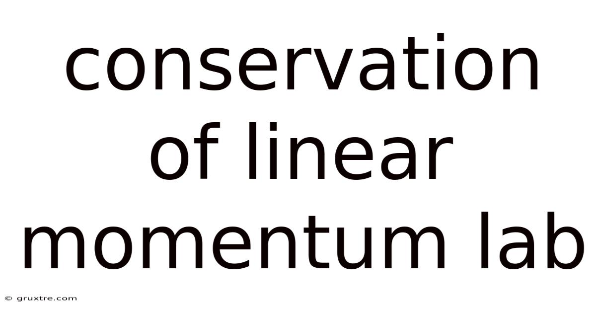 Conservation Of Linear Momentum Lab