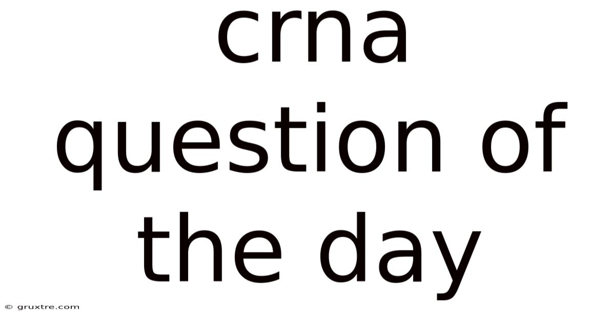 Crna Question Of The Day