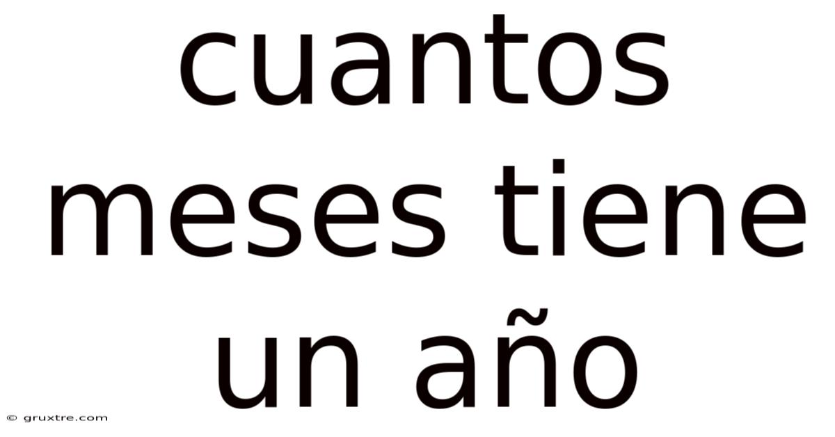 Cuantos Meses Tiene Un Año