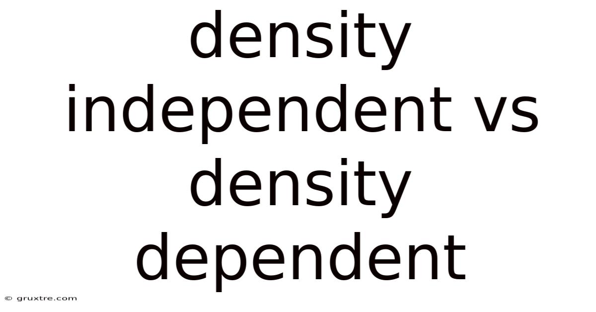 Density Independent Vs Density Dependent