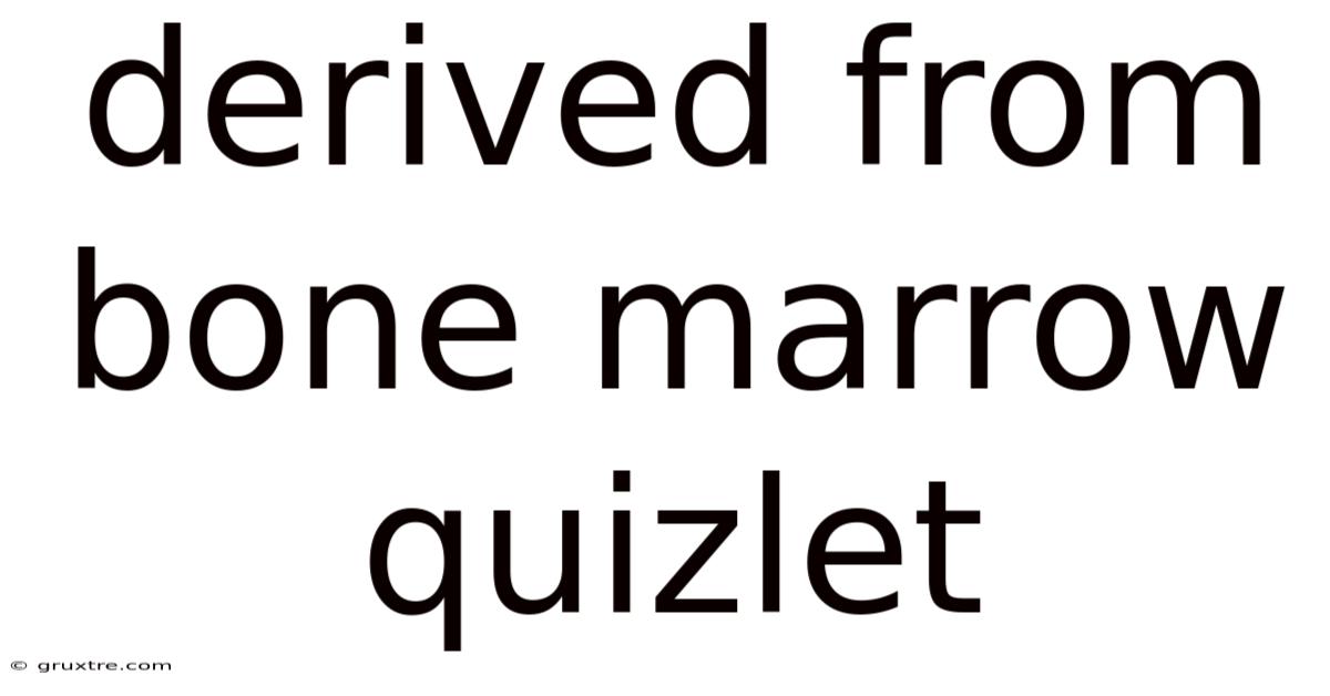 Derived From Bone Marrow Quizlet