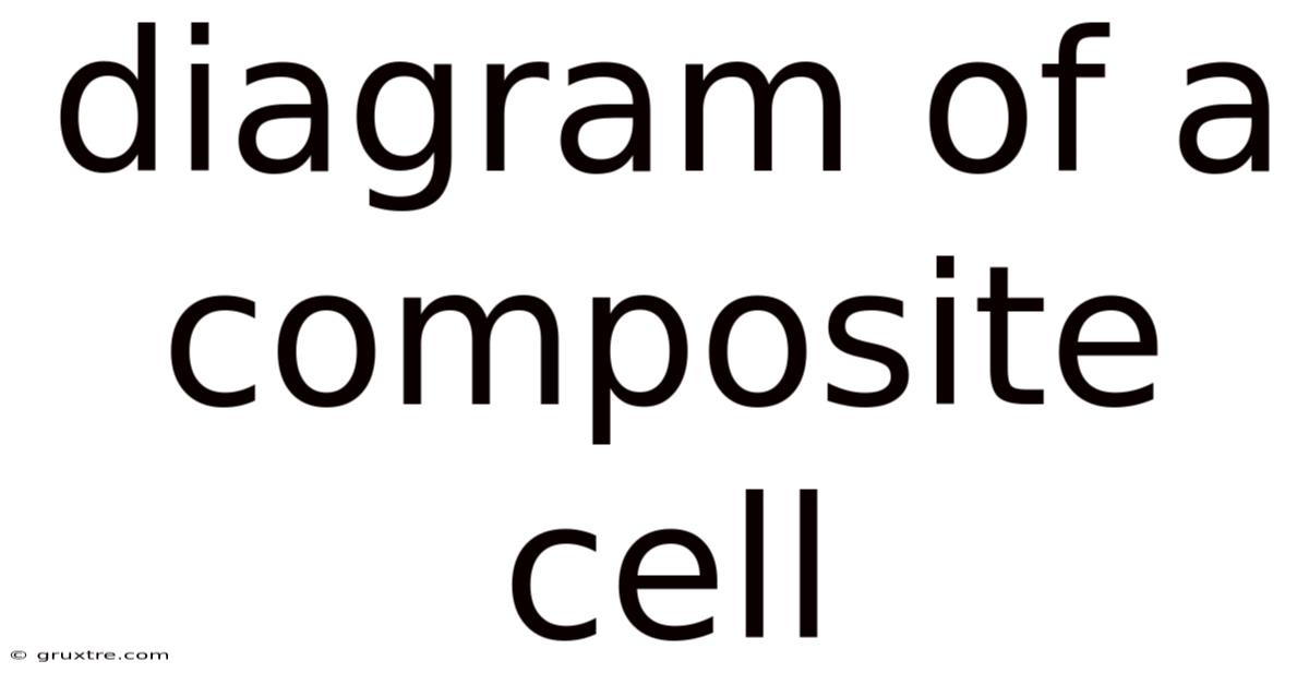 Diagram Of A Composite Cell