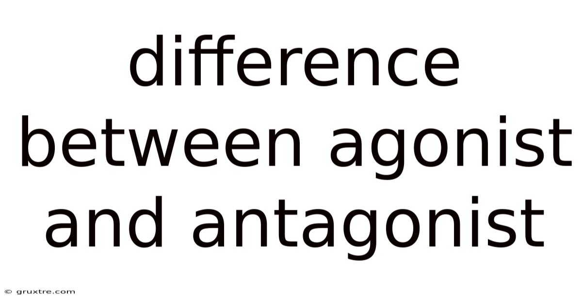 Difference Between Agonist And Antagonist