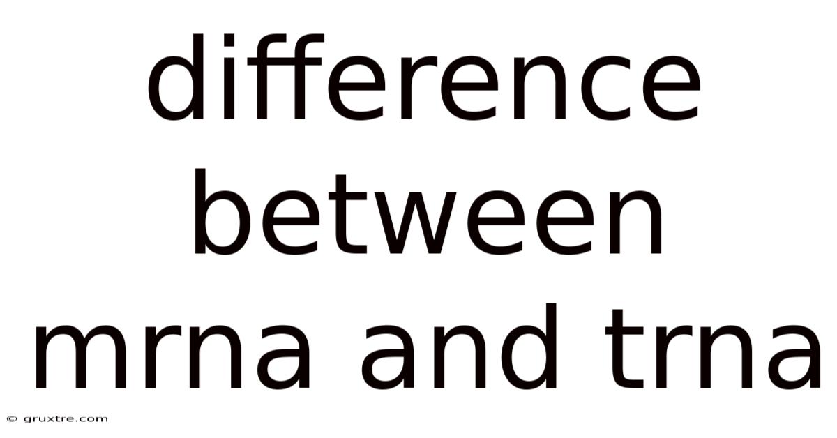 Difference Between Mrna And Trna