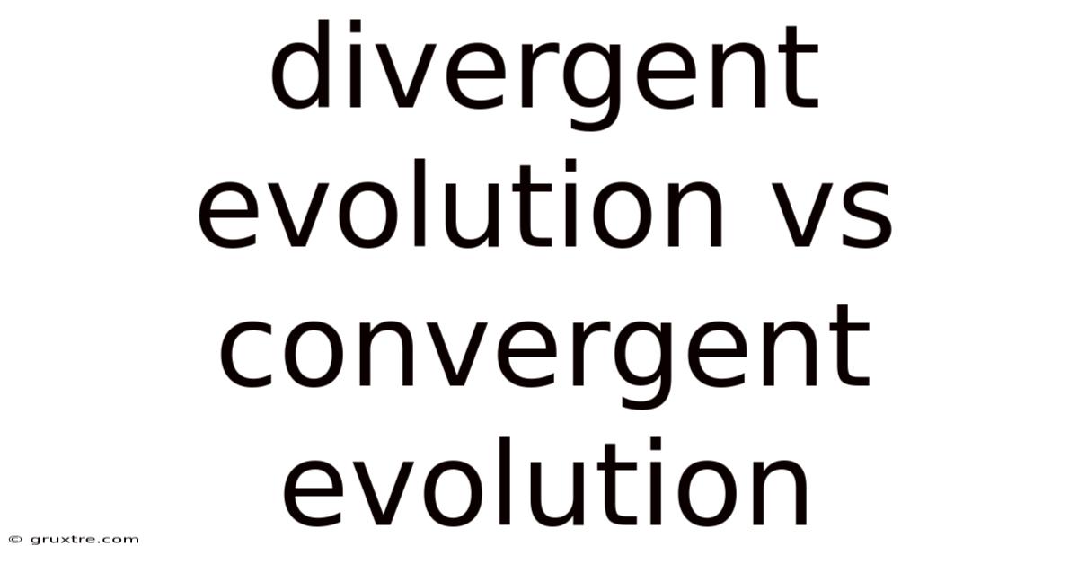 Divergent Evolution Vs Convergent Evolution