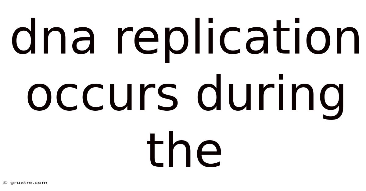 Dna Replication Occurs During The