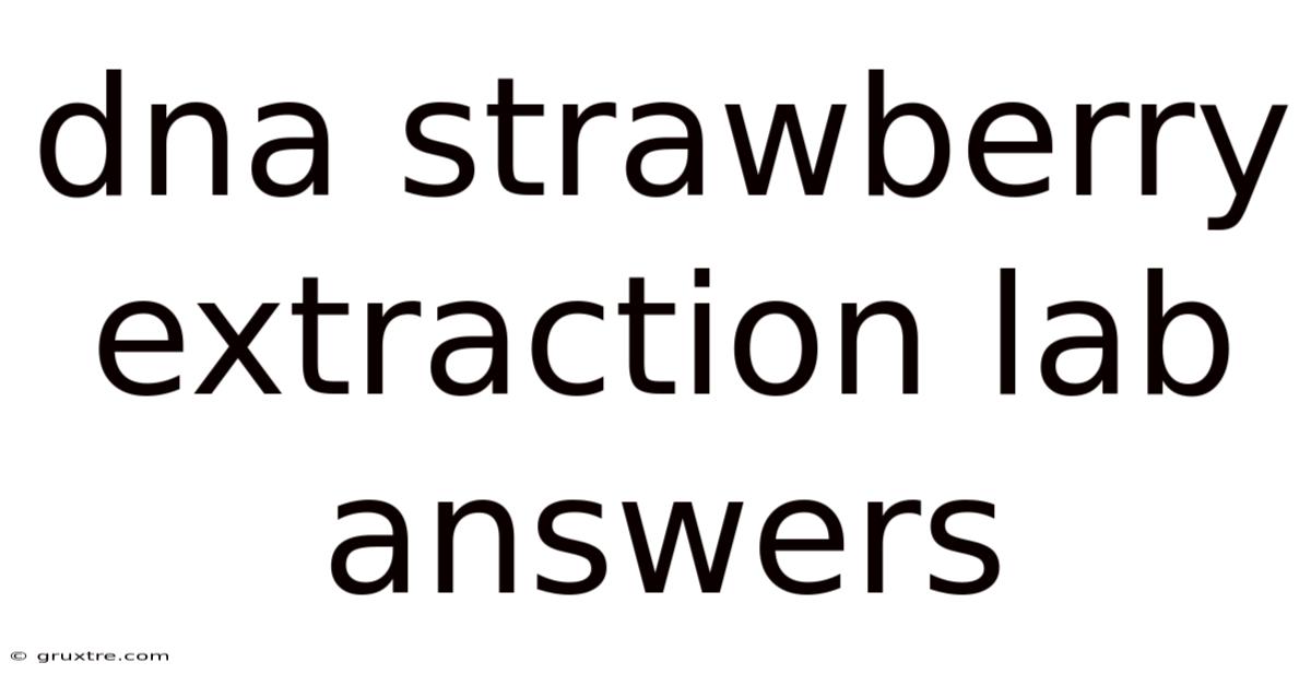 Dna Strawberry Extraction Lab Answers