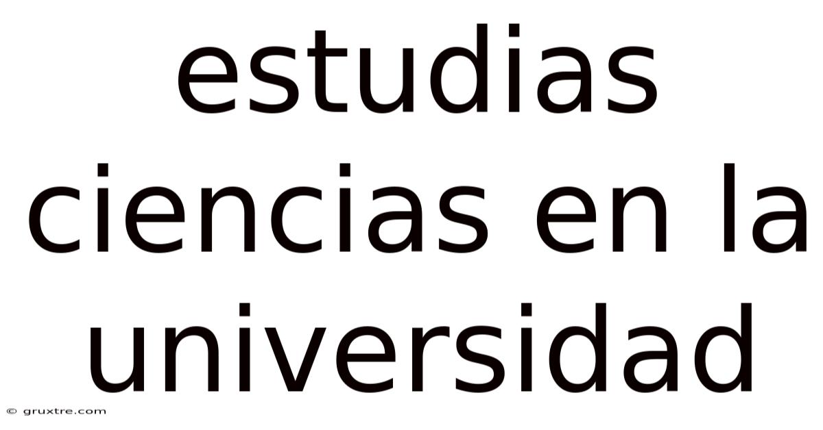 Estudias Ciencias En La Universidad