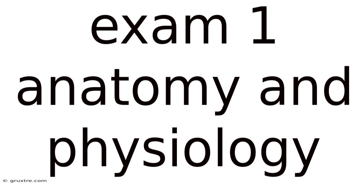 Exam 1 Anatomy And Physiology