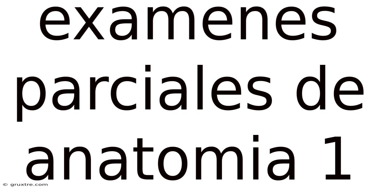 Examenes Parciales De Anatomia 1