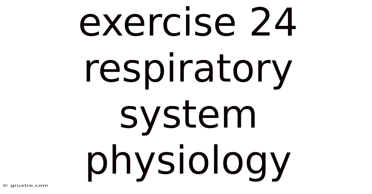 Exercise 24 Respiratory System Physiology