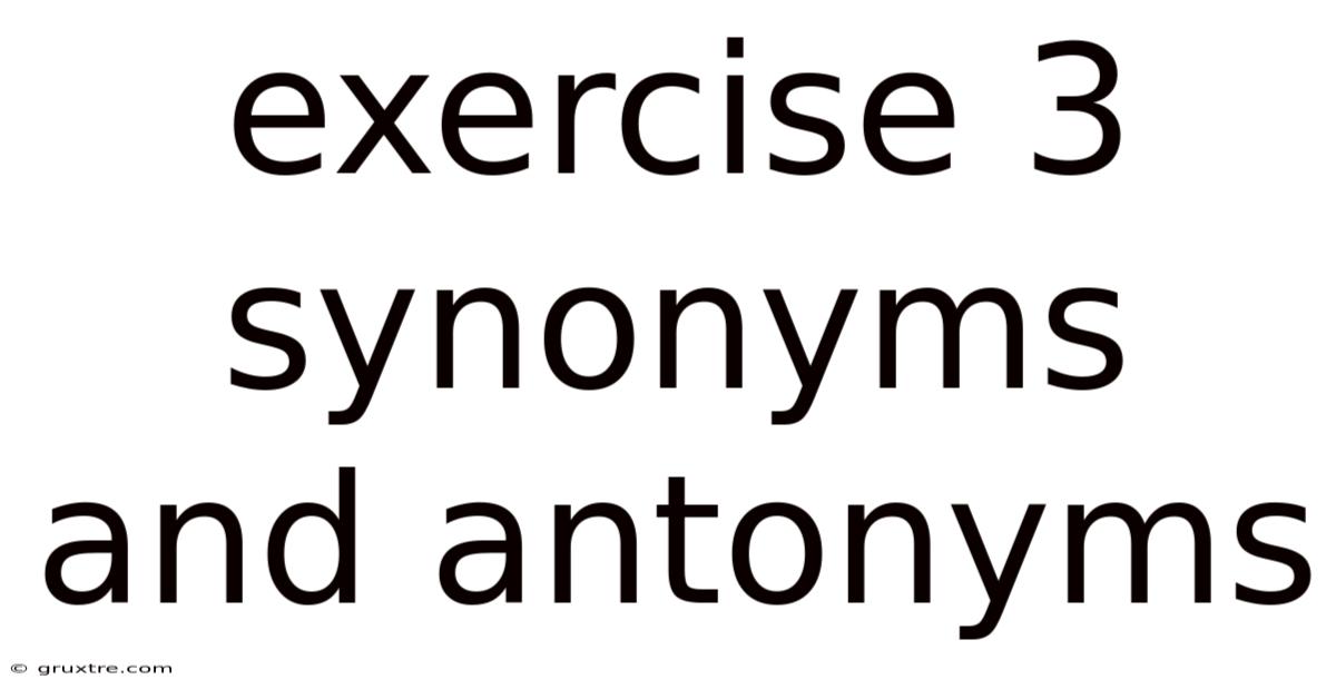 Exercise 3 Synonyms And Antonyms