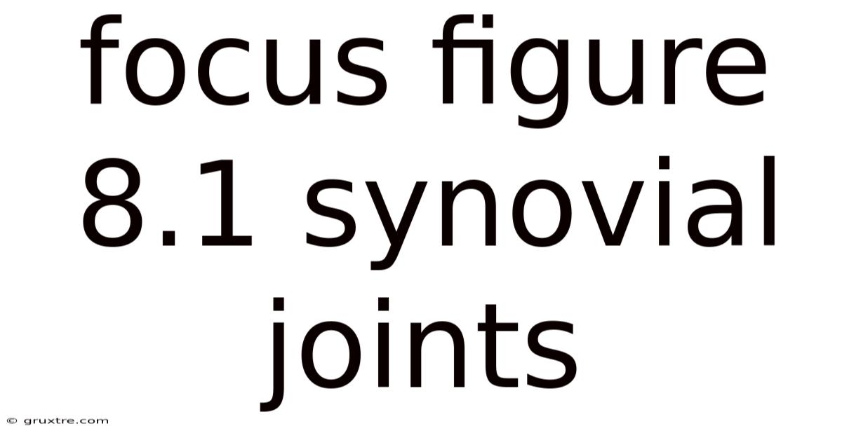Focus Figure 8.1 Synovial Joints