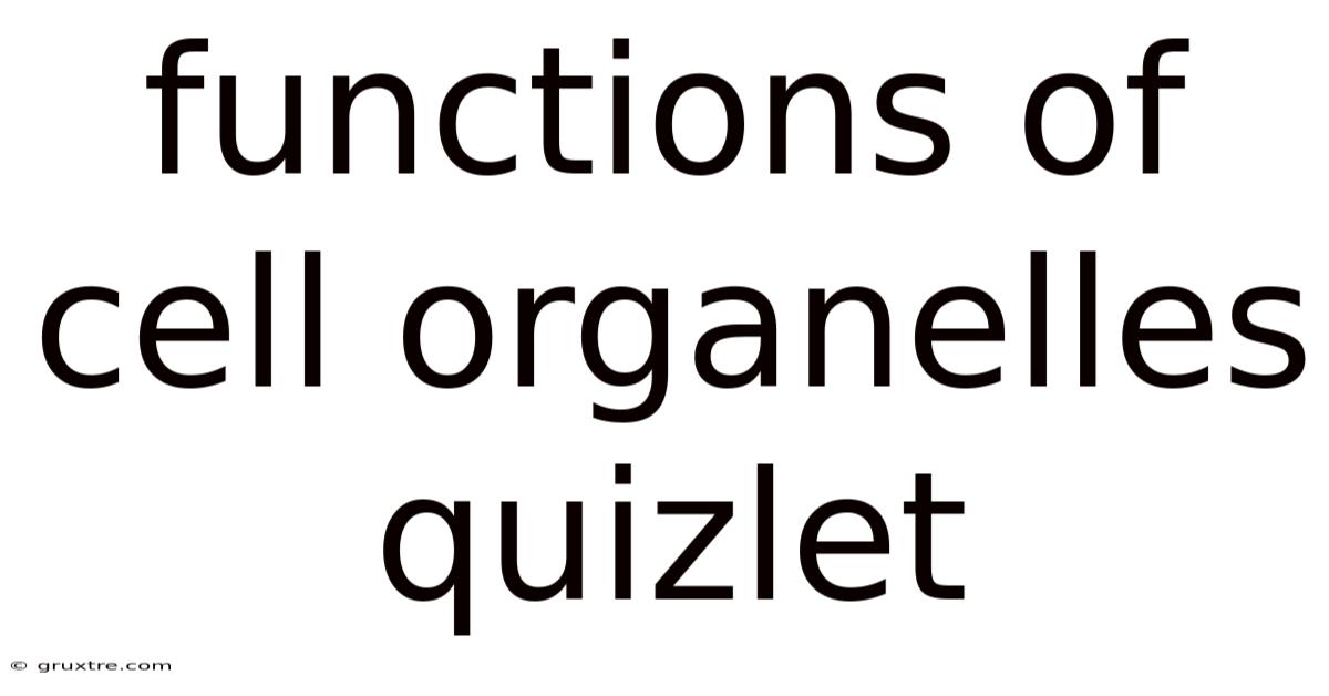Functions Of Cell Organelles Quizlet
