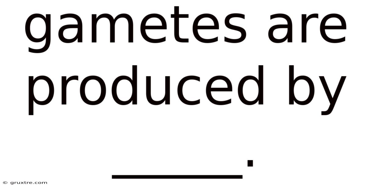 Gametes Are Produced By _____.