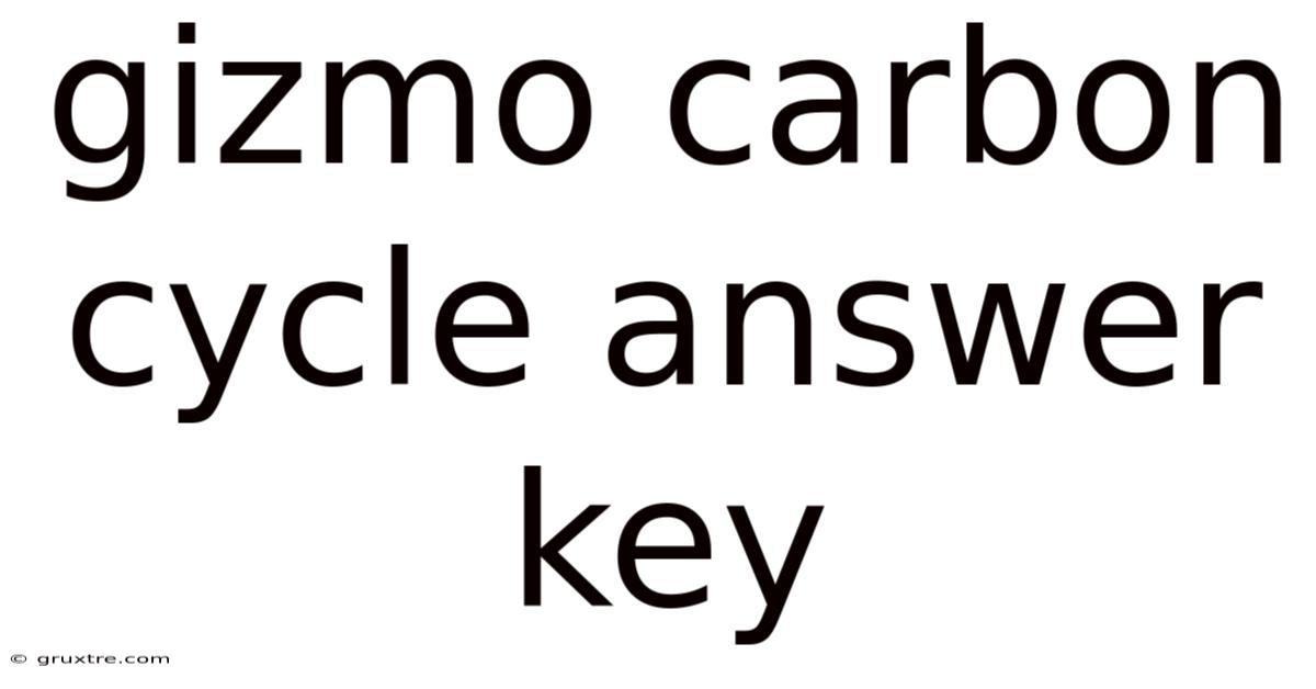 Gizmo Carbon Cycle Answer Key