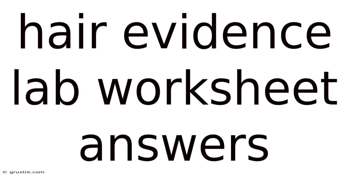 Hair Evidence Lab Worksheet Answers